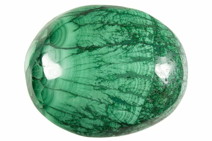 Polished Banded Malachite Palm Stone - DR Congo #321184